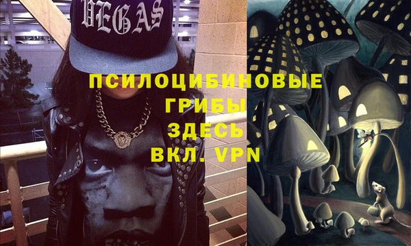 мяу мяу мука Новодвинск