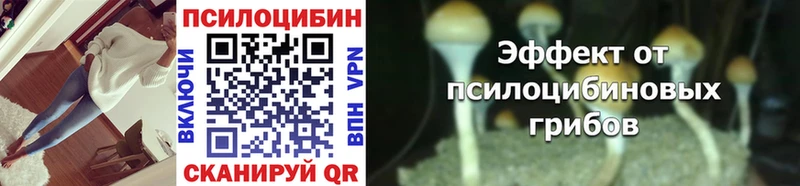 Галлюциногенные грибы Psilocybine cubensis  купить   OMG ССЫЛКА  Ишимбай 