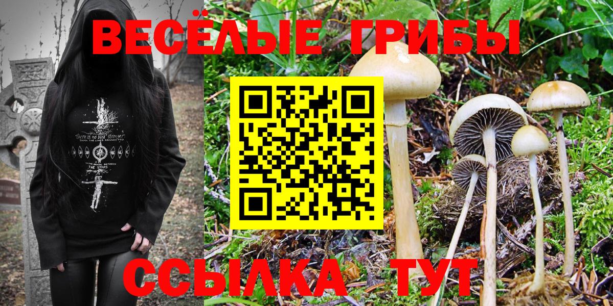 Галлюциногенные грибы GOLDEN TEACHER  Ишимбай  Псилоцибиновые грибы прущие грибы 