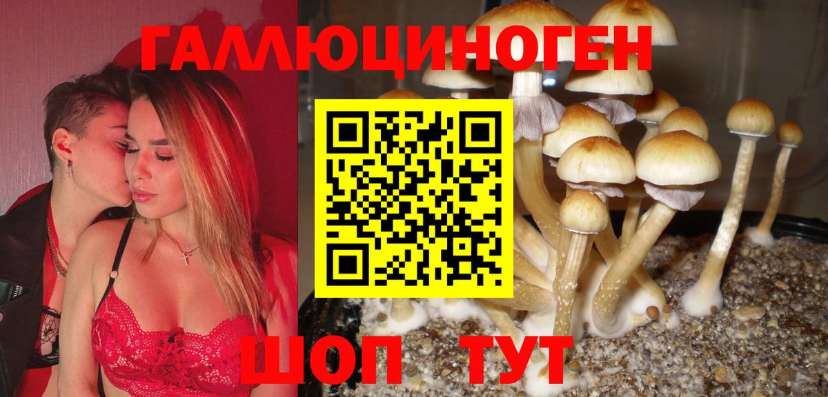 Псилоцибиновые грибы GOLDEN TEACHER Ишимбай