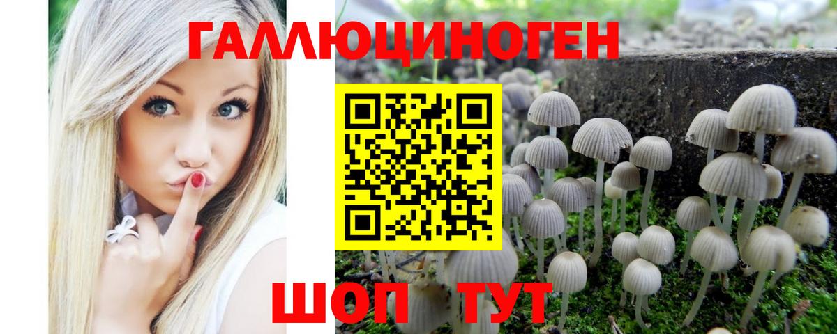 Псилоцибиновые грибы Psilocybe Ишимбай
