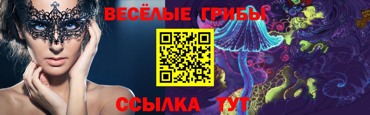 Ишимбай  Галлюциногенные грибы прущие грибы  Псилоцибиновые грибы мицелий  хочу наркоту  Вход с VPN 